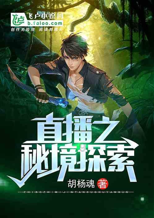 高级定制